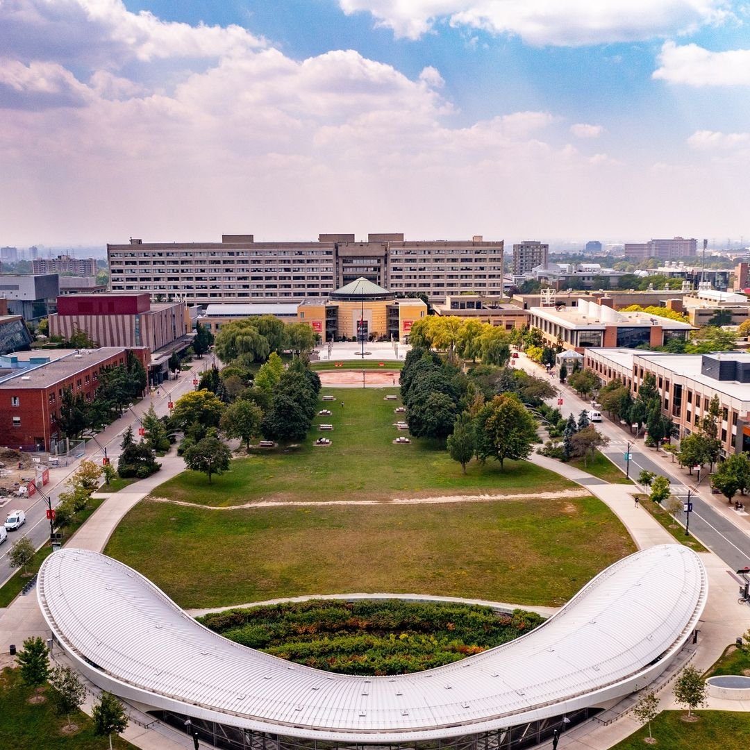 York University Arms