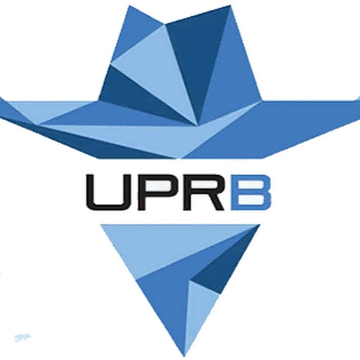 University of Puerto Rico-Bayamon logo