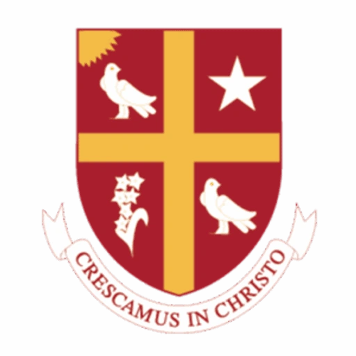 University of St Thomas logo